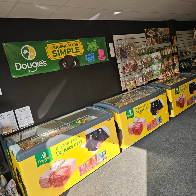 Inside the shop: chest freezers along the wall with shelves of stock behind