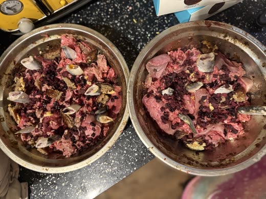 Two bowls of raw dog food side by side, dark mince with berries and pale mince with bone pieces